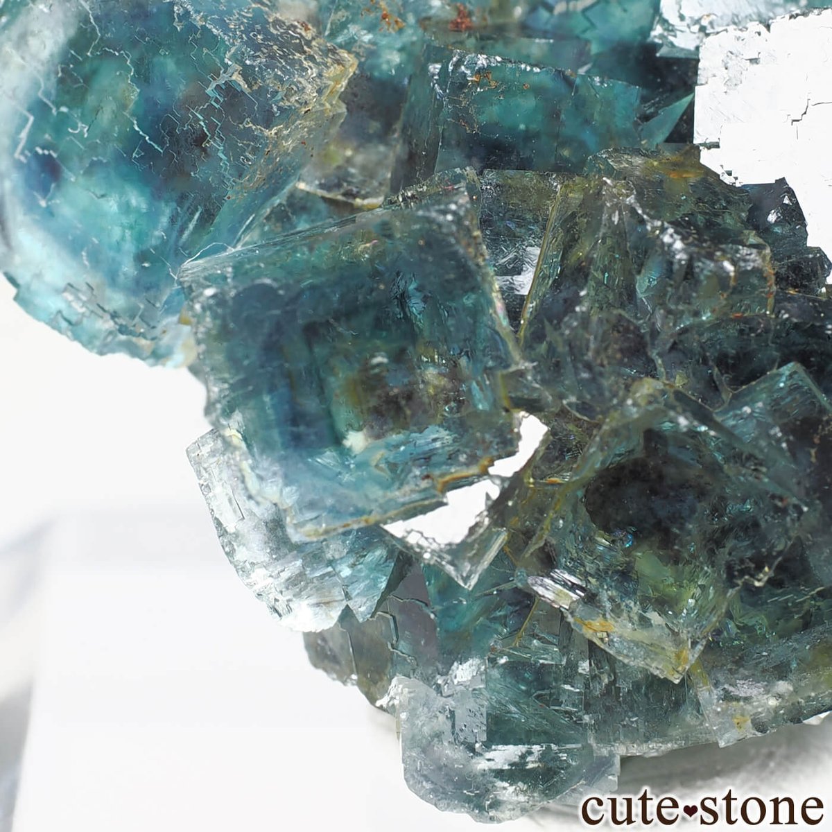 【ネットショップ更新のお知らせ】

ナミビア Okorusu Mine産のフローライトを更新しました。

cutestone.jp/?mode=srh&sort…