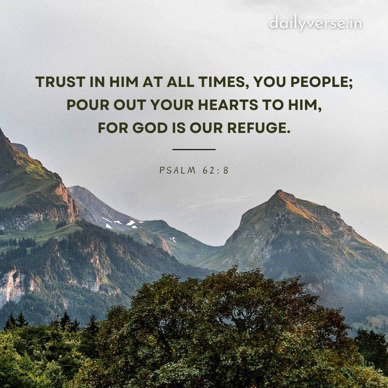 Paula F 🙏 (@mamaw1521) on Twitter photo 