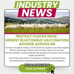 Photo by British Texel Sheep (@BritishTexel)