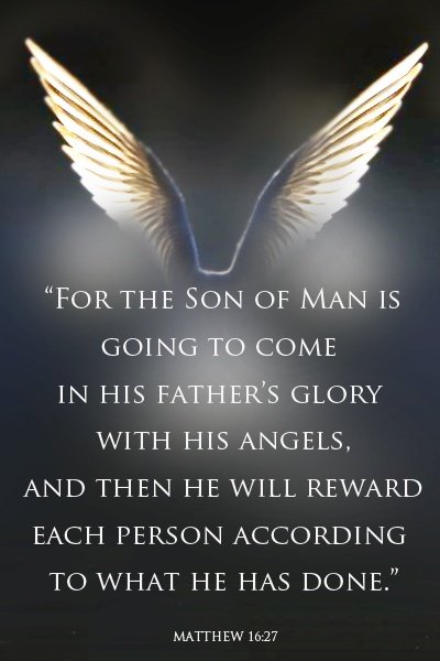 Paula F 🙏 (@mamaw1521) on Twitter photo 