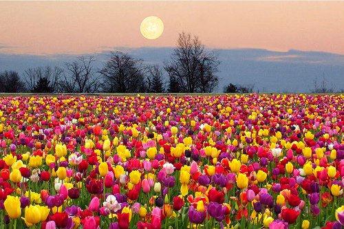 WELCOME TO MAY! Baltimore: The Normal High starts at 72 but jumps to 80 by the end of the month. The warmest temp on record: 98 (5/30/2011). The coldest: 32 (5/11/1966). Wettest May: 1989 (8.71"). The Full Moon (Flower Moon) is on the 12th this year. 🙂👇