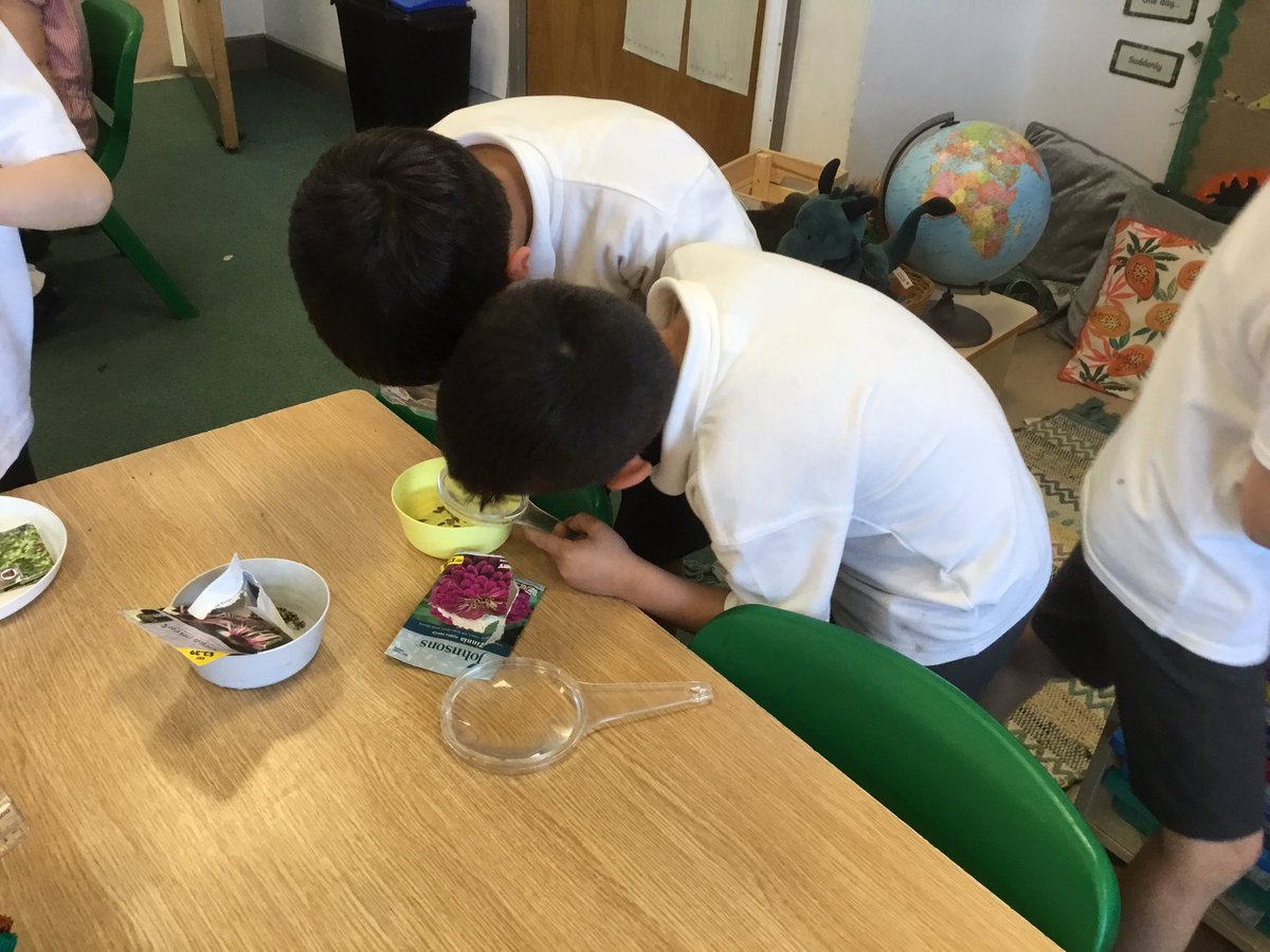 Year 2 SHPS tweet media