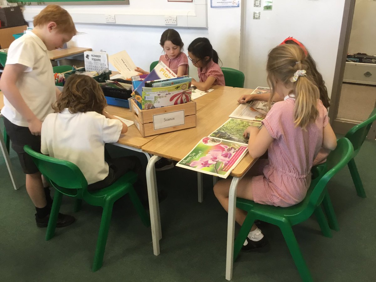 Year 2 SHPS tweet media