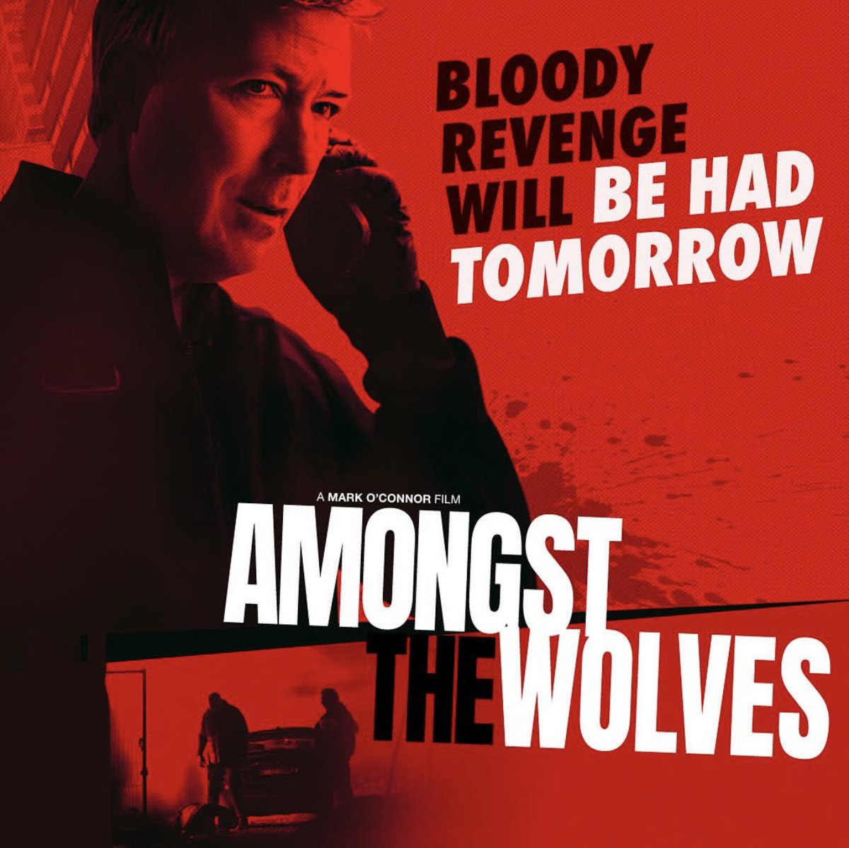 Luke Mc Quillan tweet media