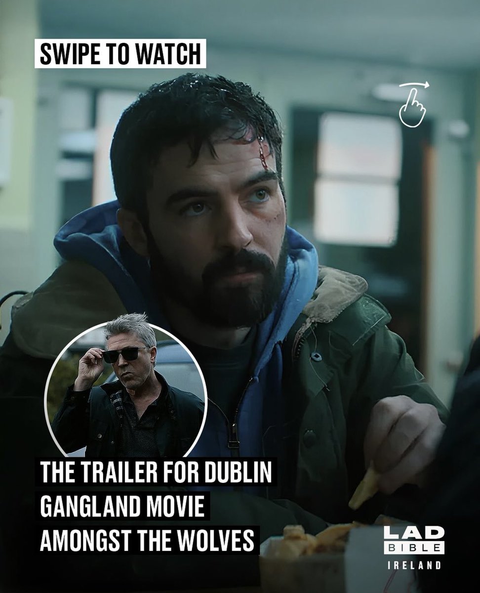 Luke Mc Quillan tweet media