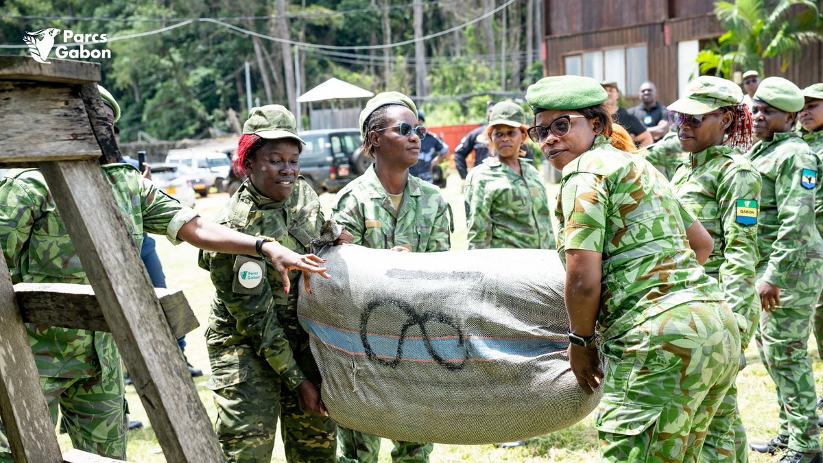 Parcs_Gabon's tweet image. 🇬🇦 Opération Black Mamba : l’ANPN en action !
+2,6 tonnes de cannabis (valeur : +500M FCFA) incinérées ce 29 avril 2025 à Libreville. Une saisie record, fruit d’une coordination exemplaire entre l’ANPN et les forces de sécurité.
#ANPN #BlackMamba