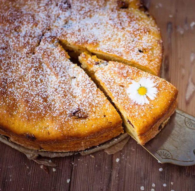 Greek Style Tahini Cake Photo from WorldwideGreeks.com
.
#greekcooking #greekcuisine #cookinggreek #worldwidegreeks