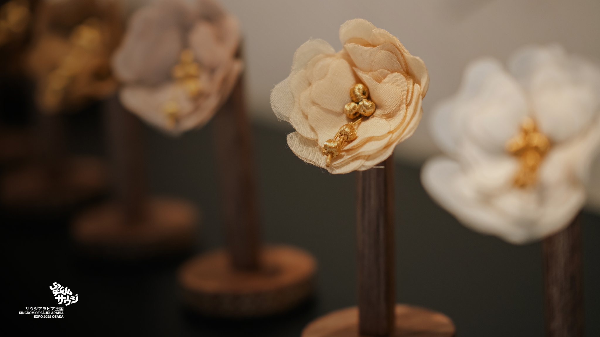 FLowers of Saudi Arabia サウジアラビアの花 FLowers of Saudi Arabia サウジアラビアの花 サウジアラビア
