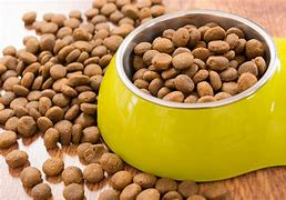 LocalCharities2's tweet photo. Donate spare pet food to trays you see on the street.
#charity
#awareness
#donation
#Wigan
#collegeprojec
#local
#food https://t.co/UCtczYm9qZ