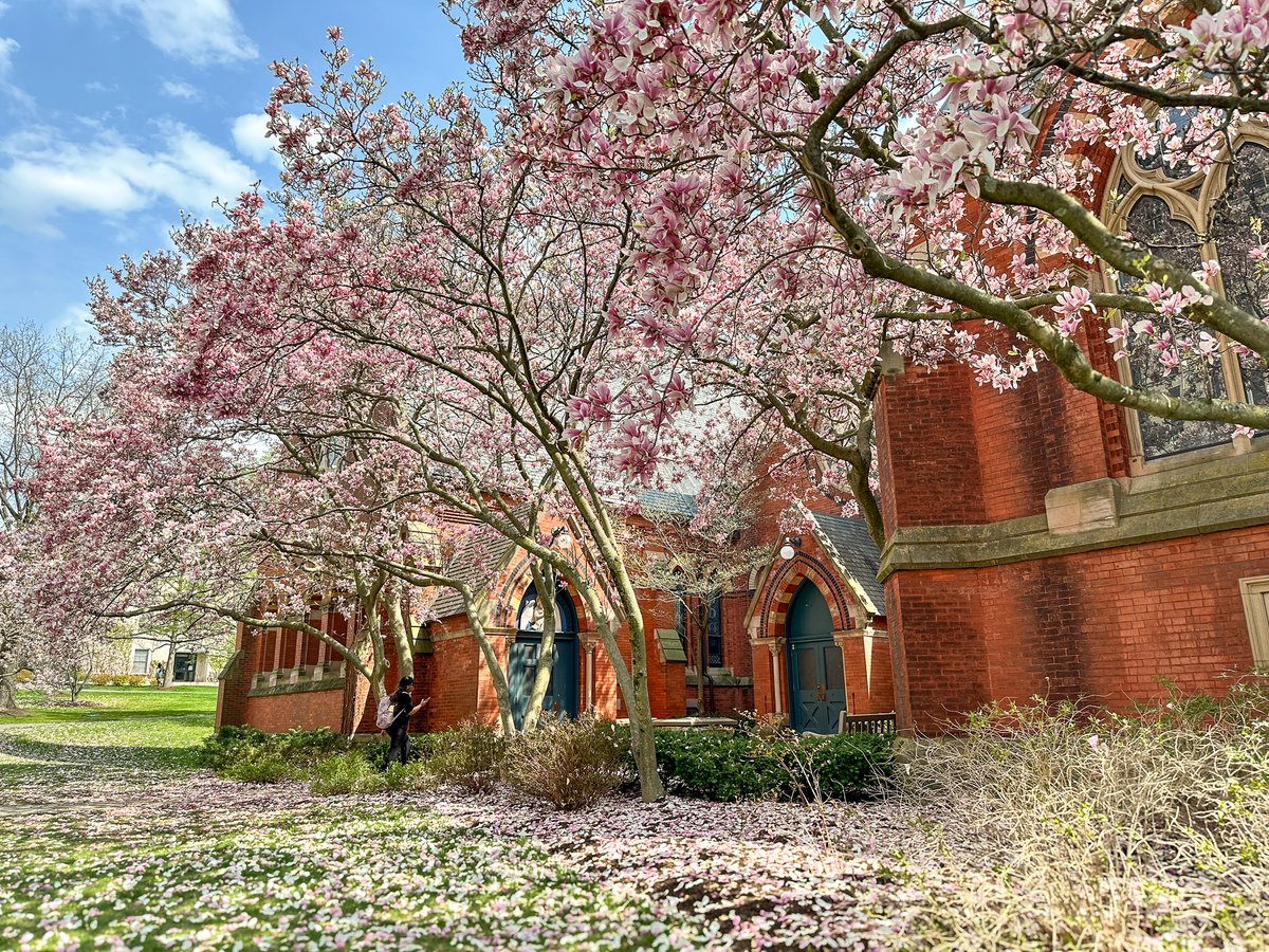 Ithaca spring: fleeting, beautiful, and always worth it. 🌸📸