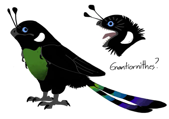 Revisiting an old species of mine, not sure what sorta bird to make them 
