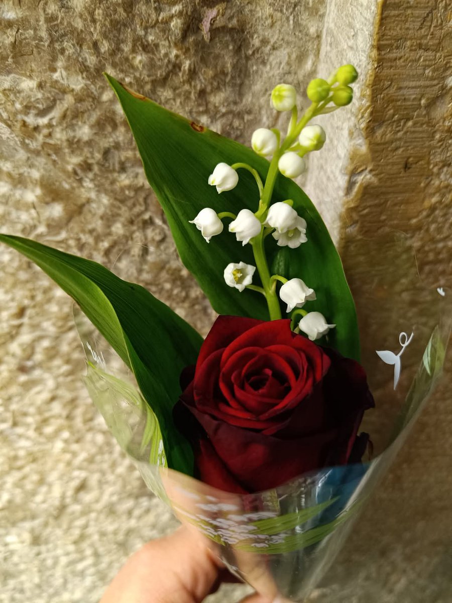 Bon 1er Mai à vous toutes et tous