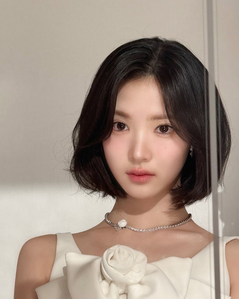 하투하 (semi-ia) tweet media