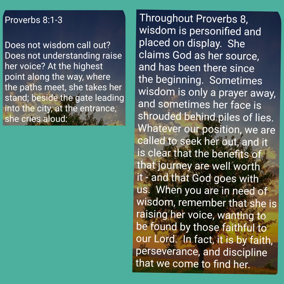 Proverbs 8:1-3