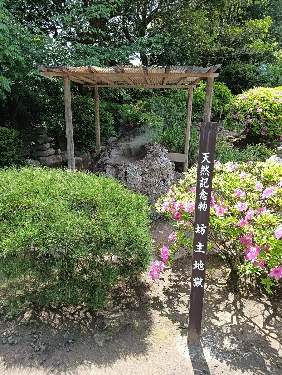 2泊3日の別府旅行🧳
外湯はまわれるだけまわった♨️
疲れた〜😫笑
竹瓦温泉（砂湯体験）
鉱泥温泉（泥湯）
谷の湯
熱の湯
地獄原
渋の湯
むし湯（足蒸しのみ）

いや〜別府温泉最高だわ✨️
無料〜200円で入れたりするの羨ましい🤤
硫黄の匂いも落ち着くね🥴

地獄巡りは坊主、海、血の池の3箇所だけ👌