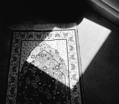 "وَكَيفَ يَا رَبُّ نَخشَىٰ مَا نُكَابدُهُ
وَفِي حِمَاكَ يُضِيءُ الفَألُ وَالأمَلُ"