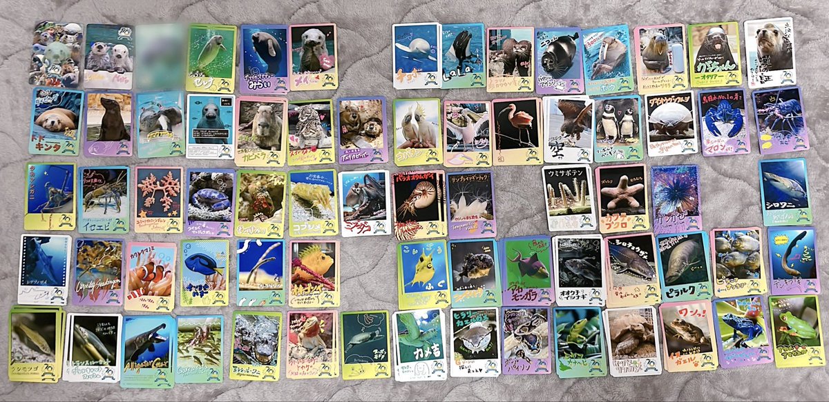 鳥羽水族館⭐️コレクションカード⭐️ジュゴン⭐️セレナ⭐️レア2枚セット Gp3V_6ZaoAAc2L5.jpg