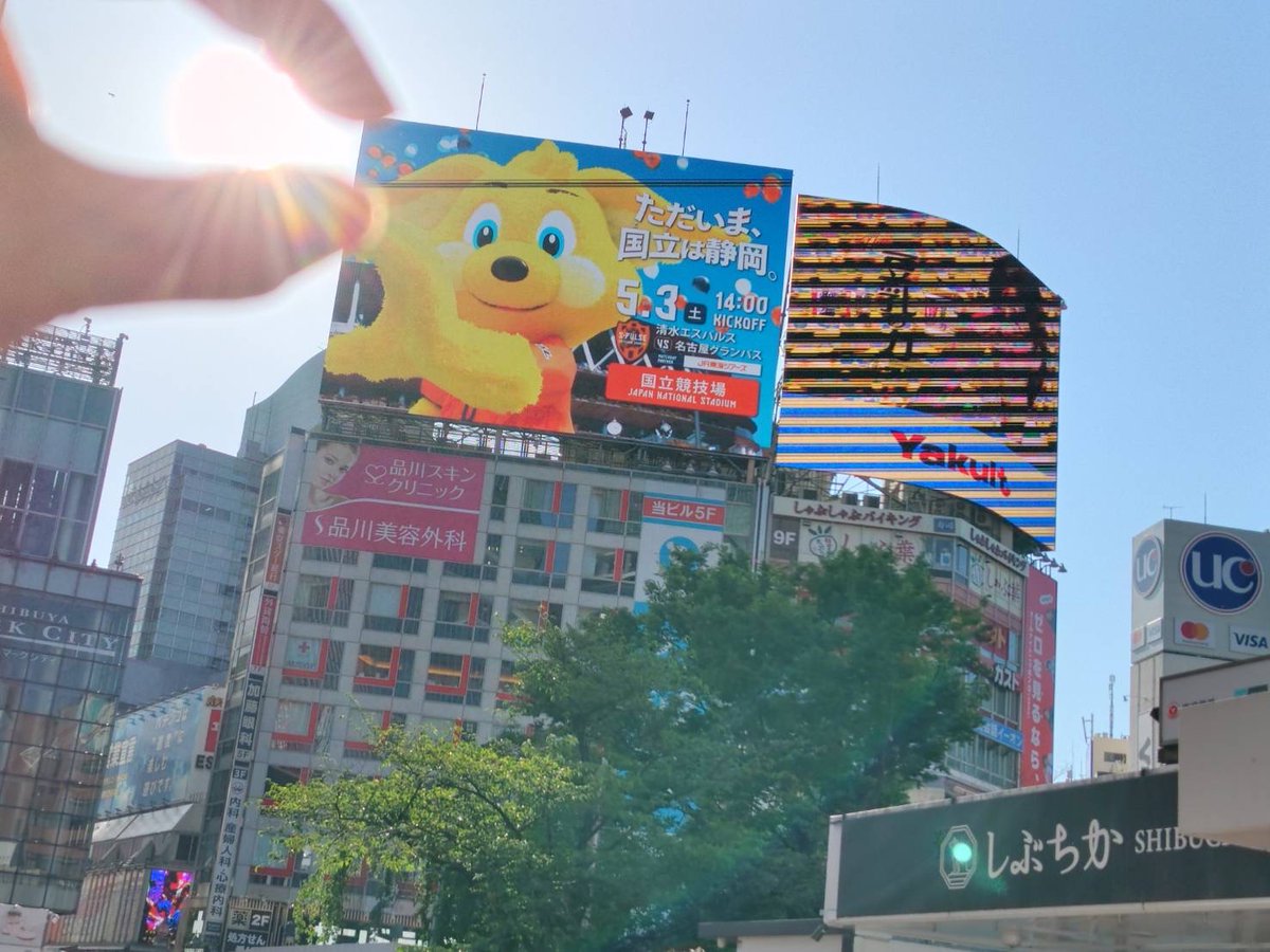 okoongya's tweet photo. 国立楽しみ！
絶対、勝って〜☆
#ただいま国立は静岡
 #spulse
 #パルちゃんとSポーズ https://t.co/5GEZevA8Qx