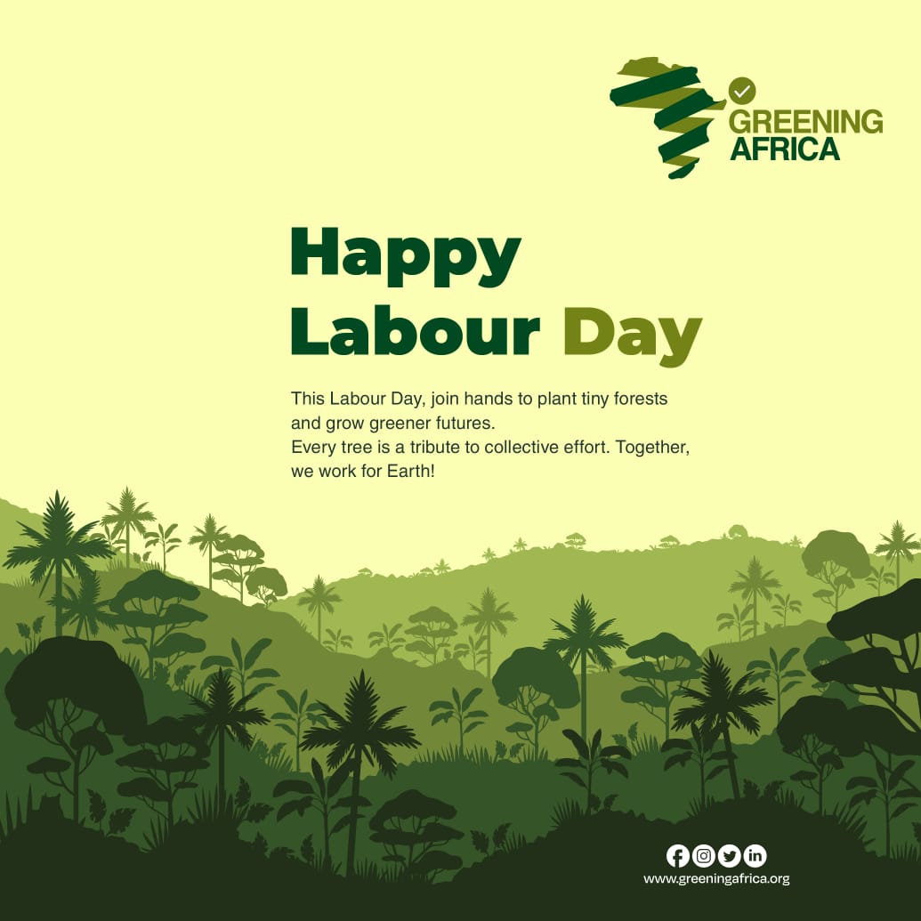 greeningaf's tweet photo. This Labour Day, we honour every hand that works for Earth. As Greening Africa, our goal is clear: grow #tinyforests, grow more greener spaces for our future 🌍Every #tree is a tribute to collective effort.
#LabourDay #GreeningAfrica #ClimateAction #GreenAfrica https://t.co/MK5BqoCchG
