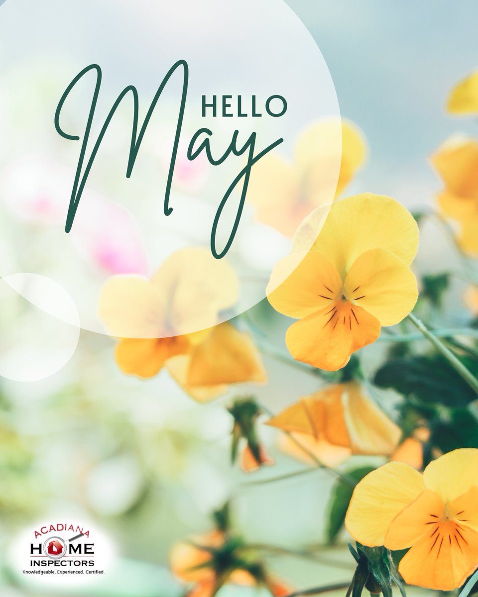 AcadianaHI's tweet image. Time to give your home a spring check-up.
 🌧️ Leaks from spring showers?
 🐜 Pests moving in?
 🛠️ Routine inspections = peace of mind.

Serving Lafayette, LA 📍
 ☎️ 337-326-5772
 🔗 acadianahomeinspect.com/schedule/

#HomeInspectorBatonRouge #HelloMay #SpringIntoSafety