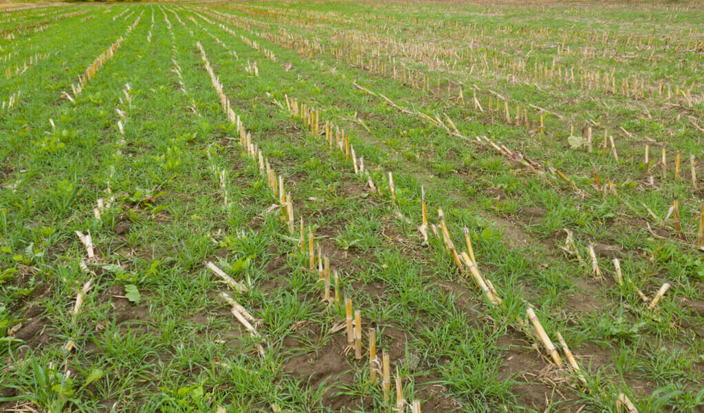 🌱East African farming habits are depriving farmers of rains by slashing plant cover. A 36-year study reveals that almost half of Africa’s rain is created by plants, but land degradation and bare-earth farming are reducing this vital source. Thread. (1/5)

farmbizafrica.com/africas-drough…
