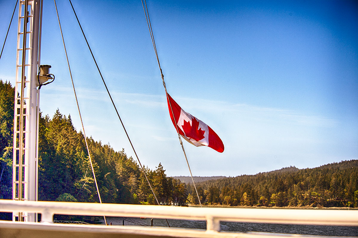 🇨🇦 True North Strong and Free 🇨🇦 #canada #elbowsup #madeincanada #buycanadian #flagaday