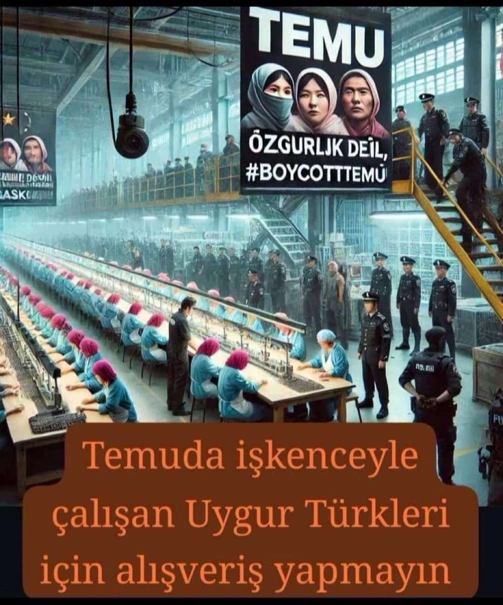 Uygur Hareketi tweet media