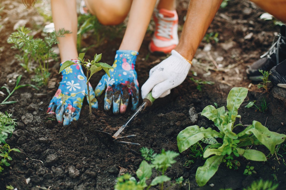 Don’t miss your chance to apply for up to £5,000 in funding to grow your community’s urban food projects!
Deadline: May 12
Get started now: edinburgh.gov.uk/news/article/1…
#Edinburgh #UrbanFarming #GrowYourOwn #CommunitySupport #FoodSecurity