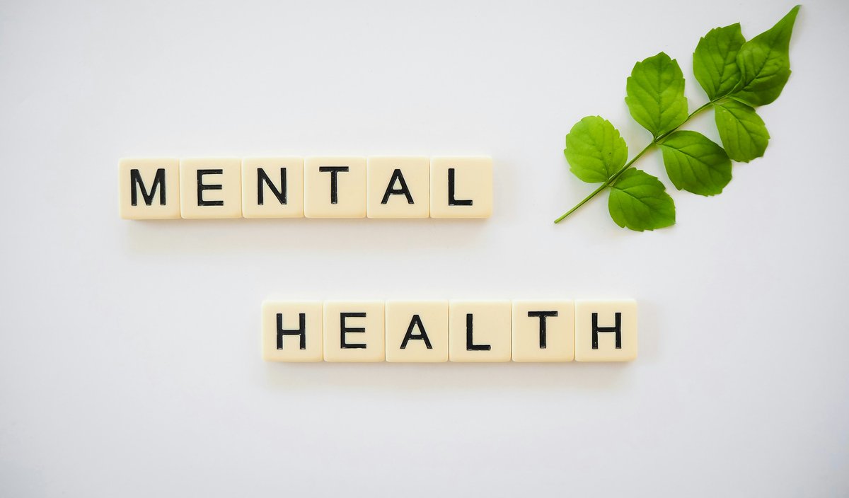 This month, we shine a light on mental health, an essential part of our overall well-being. 💚

At ACMH, we’re committed to supporting youth and families in their mental health journeys and advocating for accessible, quality care for all.

#MentalHealthAwarenessMonth