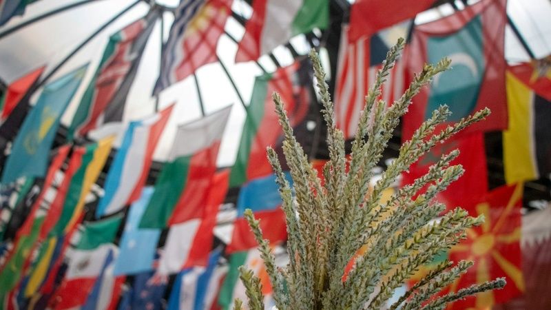 Development Studies Association (@devcomms) on Twitter photo 🎟️ Tickets now on sale for the <a href="/CDS_Bath/">Centre for Development Studies</a> 50th anniversary conference - International development: past, present and prospects
📅 11-12 September 2025
📍 <a href="/UniofBath/">University of Bath</a>
Find out more >>
buff.ly/LmFGP1m 🎟️ Tickets now on sale for the <a href="/CDS_Bath/">Centre for Development Studies</a> 50th anniversary conference - International development: past, present and prospects
📅 11-12 September 2025
📍 <a href="/UniofBath/">University of Bath</a>
Find out more >>
buff.ly/LmFGP1m