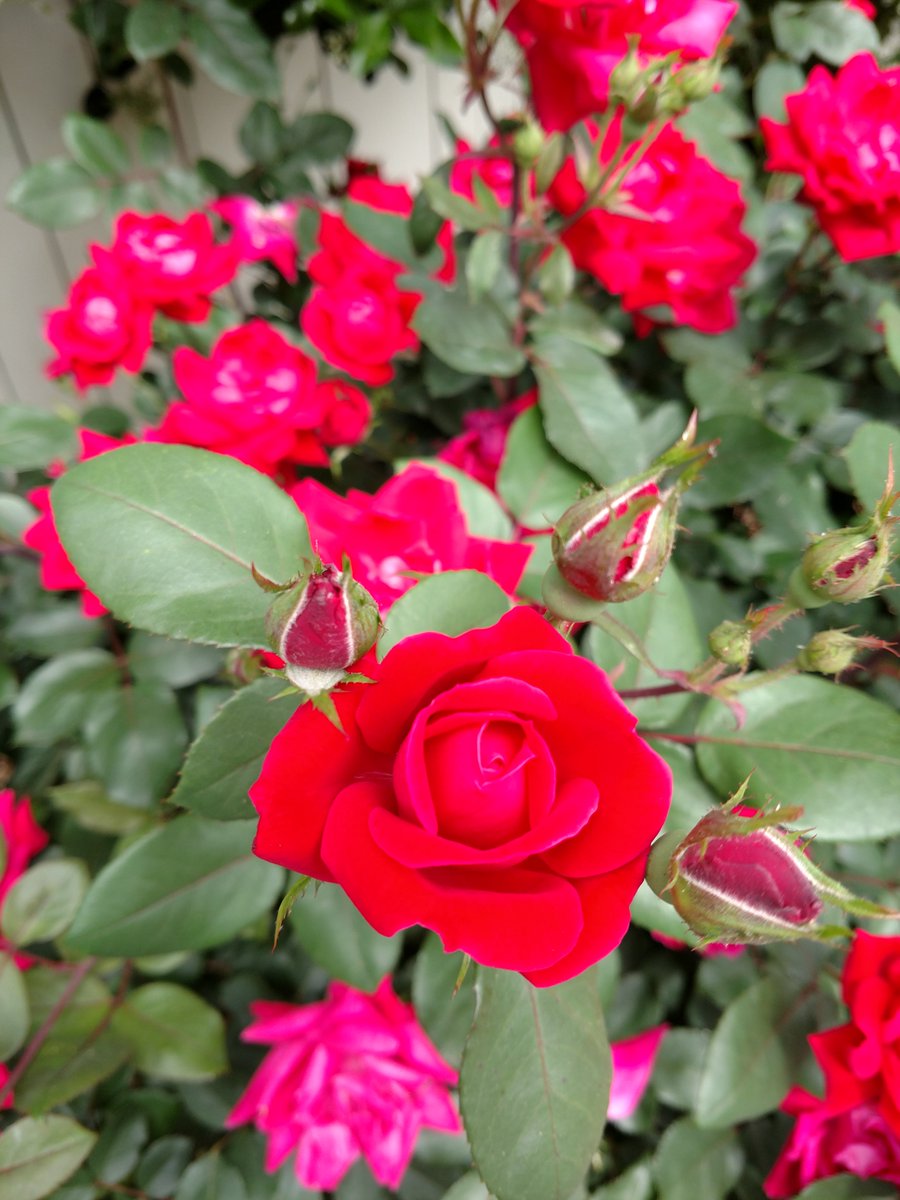 May reveals April's promises.