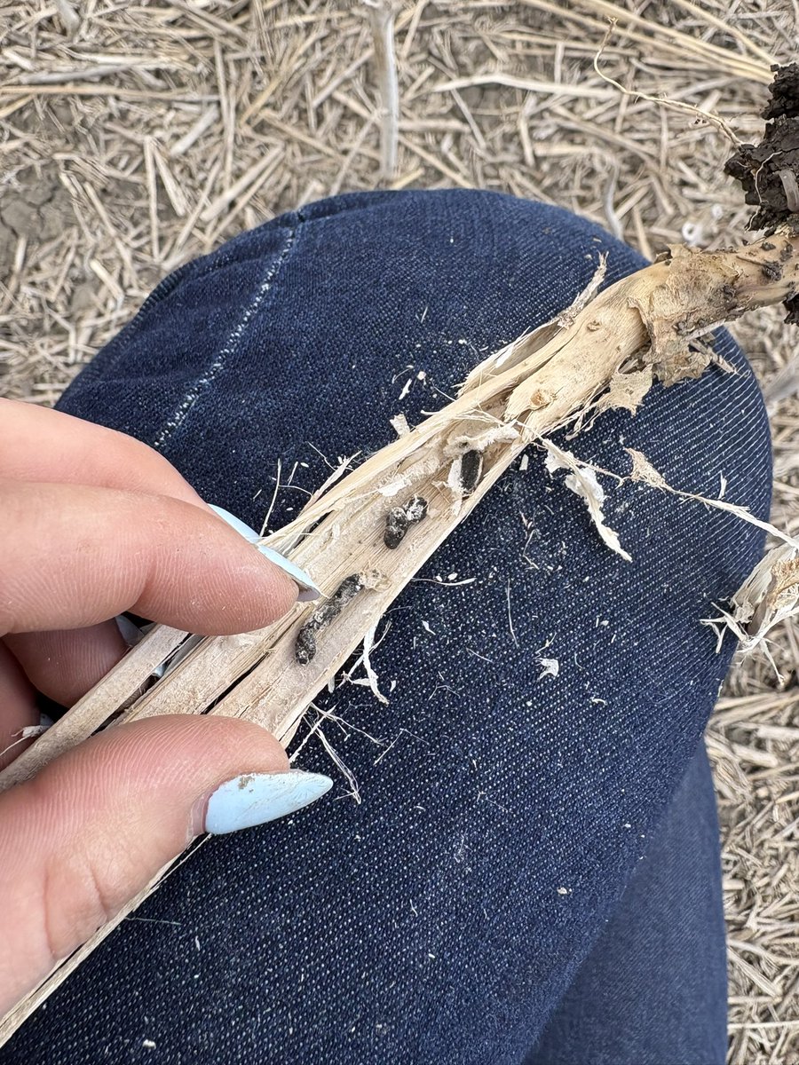 Jessica Runge tweet media