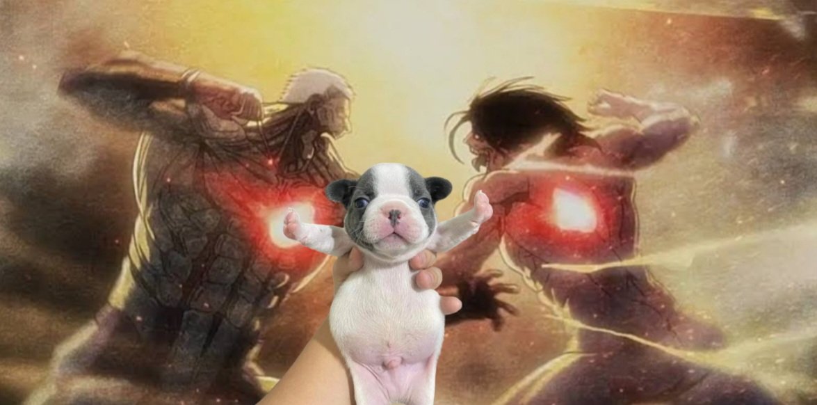 Mal30369's tweet image. 