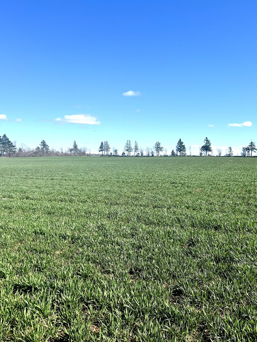 Hello, May! 🌞

The days are getting longer, the weather is warming up, and the signs of spring are all around us. As planting season kicks into gear, we’re wishing all the hardworking farmers a safe, smooth, and successful field season. Thank you for everything you do!