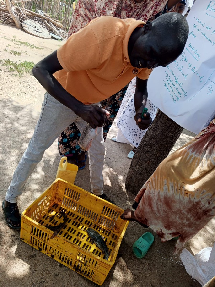 <a href="/midpkenya/">MIDPKENYA</a> We conducted fish farmers and management training for  Goda Hustler SHG and Goda milki women group in Goda village under SCORE 2 project.The training focused on ;Good Aquaculture practices,site selection and pond design, feeding and stock management.
