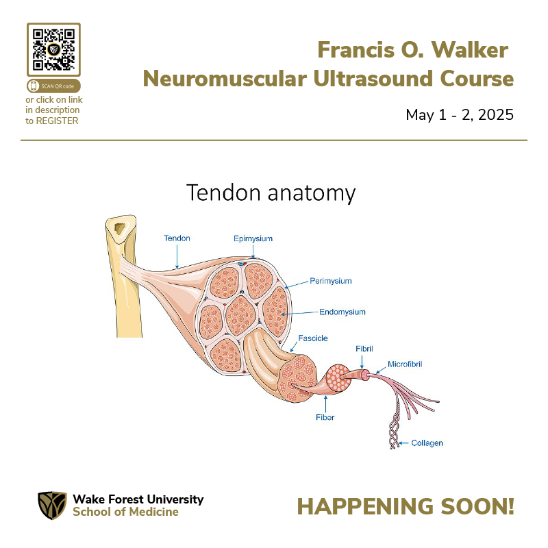 Wake Forest Ultrasound (@ultrasoundwake) on Twitter photo Are you ready for our #Neuromuscular #Ultrasound #course?
northwestahec.wakehealth.edu/t3/courses-and…
---
<a href="/AtriumHealthWFB/">Atrium Health Wake Forest Baptist</a> <a href="/UltrasoundWake/">Wake Forest Ultrasound</a> <a href="/wakeforestmed/">Wake Forest University School of Medicine</a> #onlineclass #scanning #cometrainwiththebest #healthcareexcellence #healthcare #April #virtualdidactics Are you ready for our #Neuromuscular #Ultrasound #course?
northwestahec.wakehealth.edu/t3/courses-and…
---
<a href="/AtriumHealthWFB/">Atrium Health Wake Forest Baptist</a> <a href="/UltrasoundWake/">Wake Forest Ultrasound</a> <a href="/wakeforestmed/">Wake Forest University School of Medicine</a> #onlineclass #scanning #cometrainwiththebest #healthcareexcellence #healthcare #April #virtualdidactics
