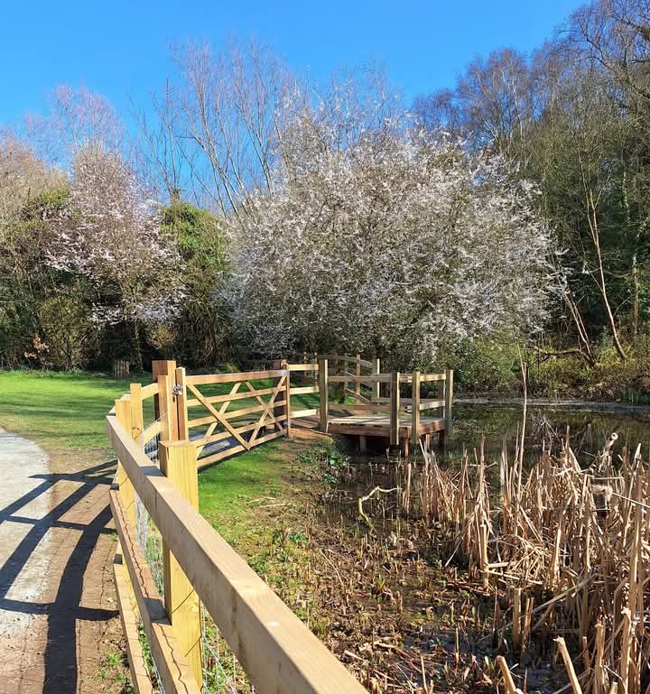 GreenwaysProj's tweet image. The finished fencing and pond dipping platform at The Dales Local Nature Reserve in north-west Ipswich. Thanks to funding from @suffolkcc . A newly surfaced pathway has also helped to improve access around this wonderful hidden gem. @IpswichGov #volunteers