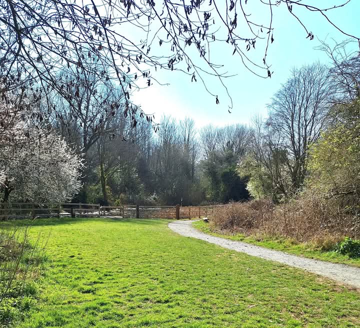 GreenwaysProj's tweet image. The finished fencing and pond dipping platform at The Dales Local Nature Reserve in north-west Ipswich. Thanks to funding from @suffolkcc . A newly surfaced pathway has also helped to improve access around this wonderful hidden gem. @IpswichGov #volunteers