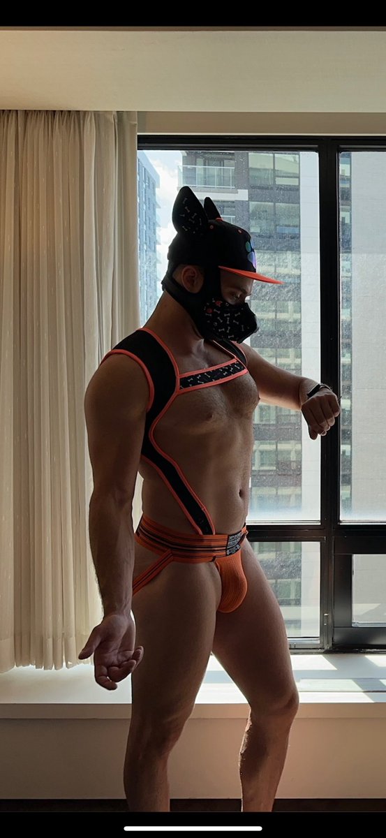 ❗️🔥 🎲    FWA ROLL CALL    🎲 🔥 ❗️

THE BEANY BOY WILL BE AT #FWA2025  IN A WEEK 

Which moots are coming to tug on the service dog harness and sniff out some drinks? 👀