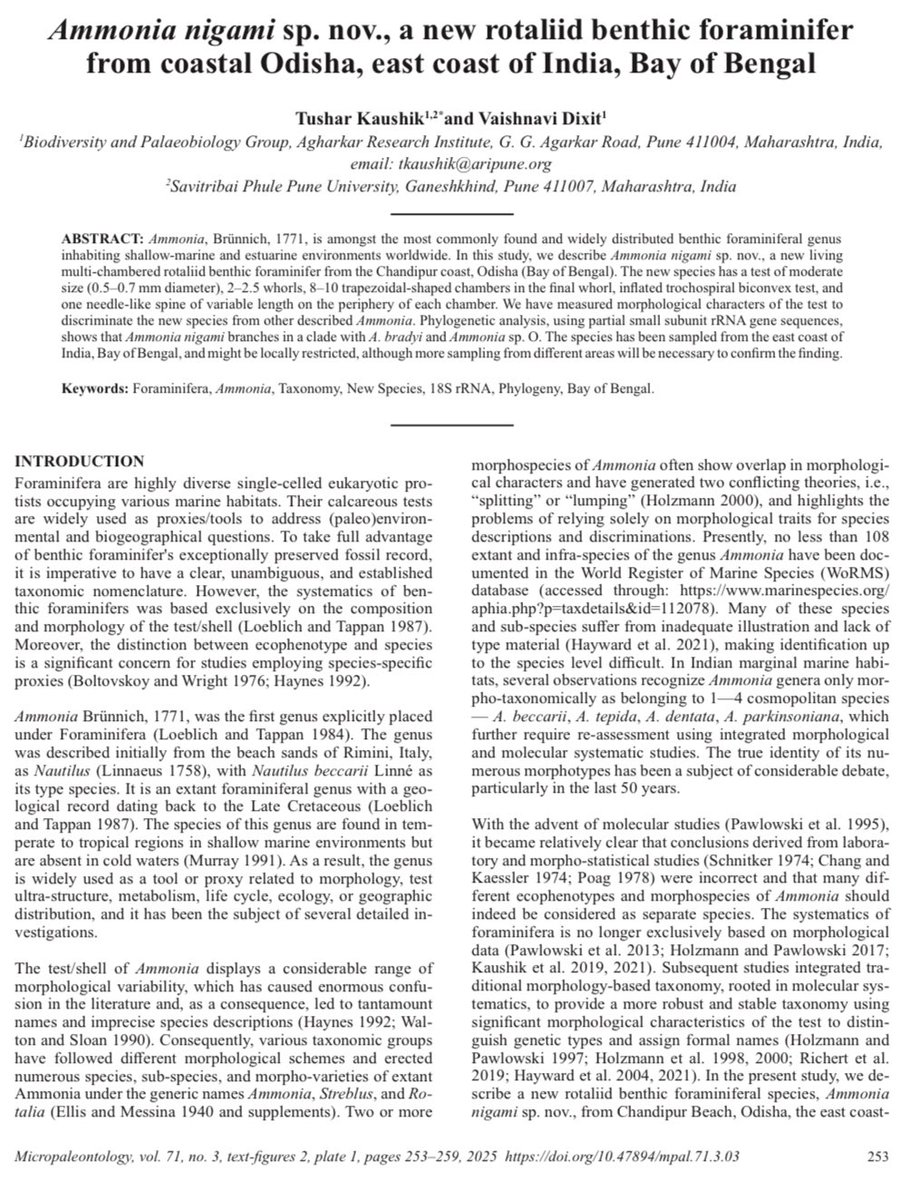 Tushar Kaushik (@itusharkaushik) on Twitter photo Pleased to announce our new publication on reporting new species of benthic #foraminifera genus Ammonia nigami sp. nov. Named in honour of Dr Rajiv Nigam, Chief Scientist (Retired), CSIR-National Institute of Oceanography Goa <a href="/CSIRNIOGoa/">CSIR-NIO GOA</a> <a href="/ANRFIndia/">Anusandhan National Research Foundation</a> <a href="/CushmanFdn/">Cushman Foundation for Foraminiferal Research</a> <a href="/ForamsEU/">Foraminifera.eu</a> <a href="/IndiaDST/">DSTIndia</a> Pleased to announce our new publication on reporting new species of benthic #foraminifera genus Ammonia nigami sp. nov. Named in honour of Dr Rajiv Nigam, Chief Scientist (Retired), CSIR-National Institute of Oceanography Goa <a href="/CSIRNIOGoa/">CSIR-NIO GOA</a> <a href="/ANRFIndia/">Anusandhan National Research Foundation</a> <a href="/CushmanFdn/">Cushman Foundation for Foraminiferal Research</a> <a href="/ForamsEU/">Foraminifera.eu</a> <a href="/IndiaDST/">DSTIndia</a>