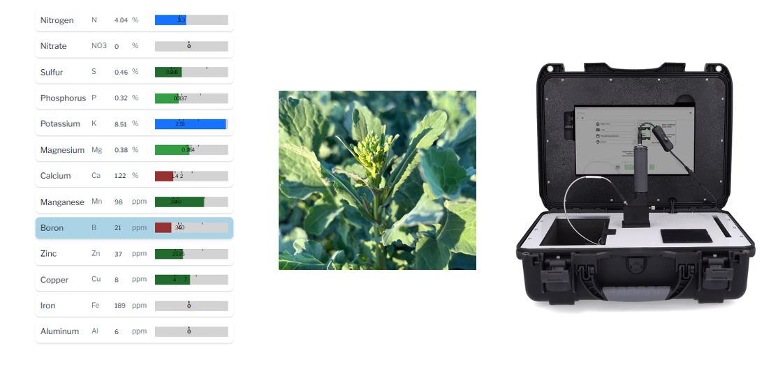 Shawn Brenneman (@shawnbrenneman) on Twitter photo Canola growers - reach out to CanGrow for a Picketa Real Time tissue scan to address potentially yield limiting nutrient deficiencies. $3 of foliar Boron may be the only thing needed to take your crop from good to great! Test to know! <a href="/picketasystems/">Picketa Systems</a> #canola #plant25 #ontag Canola growers - reach out to CanGrow for a Picketa Real Time tissue scan to address potentially yield limiting nutrient deficiencies. $3 of foliar Boron may be the only thing needed to take your crop from good to great! Test to know! <a href="/picketasystems/">Picketa Systems</a> #canola #plant25 #ontag