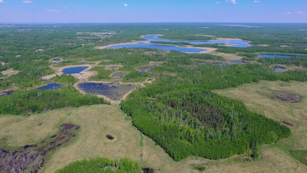 BeaverHillsBiosphere (@bhbiosphere) on Twitter photo Biosphere regions like <a href="/BHBiosphere/">BeaverHillsBiosphere</a> across Canada are redefining conservation by embracing collaboration, Indigenous knowledge, community science & sustainable development to build a better future.💚
Read the full story here: beaverhills.ca/news Biosphere regions like <a href="/BHBiosphere/">BeaverHillsBiosphere</a> across Canada are redefining conservation by embracing collaboration, Indigenous knowledge, community science & sustainable development to build a better future.💚
Read the full story here: beaverhills.ca/news