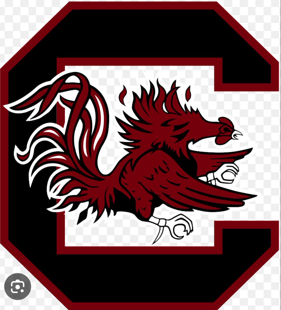WafleLuke's tweet image. Blessed to receive an offer from The University of South Carolina! @CoachSterlLuc @Red_Zone75 #SpursUp