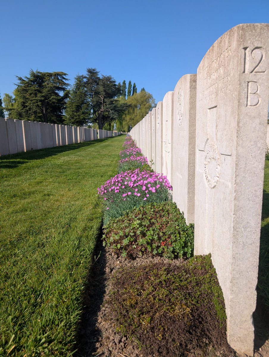 WSE History (@wsehistory) on Twitter photo A very busy day so far in the beautiful sunshine. We've visited many Commonwealth cemeteries and are now on our way to the German cemetery at Langemark <a href="/wyvernstedsdofe/">Wyvern St Edmund’s DofE</a> A very busy day so far in the beautiful sunshine. We've visited many Commonwealth cemeteries and are now on our way to the German cemetery at Langemark <a href="/wyvernstedsdofe/">Wyvern St Edmund’s DofE</a>