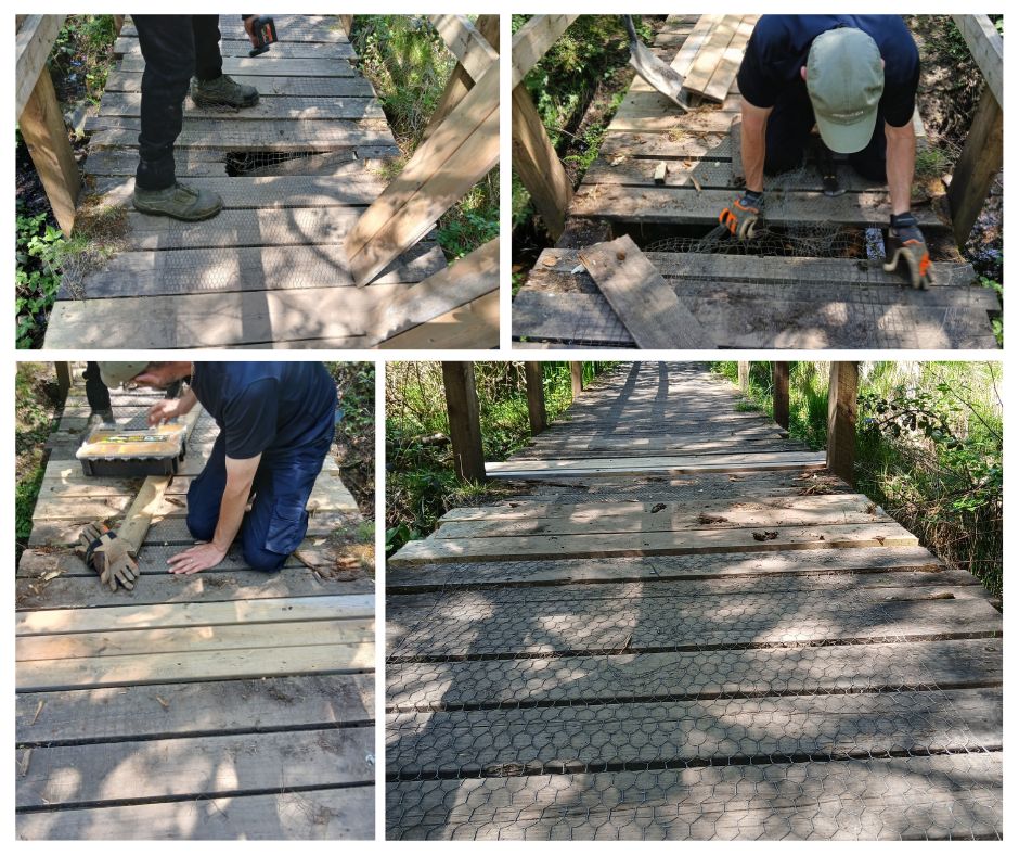 The damaged walkway at the viewing platform under the Darren has now been fixed! Work continues all year round here at Dare Valley Country Park to maintain all 500 acres of beautiful countryside!