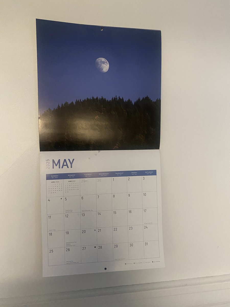 moon calendar is starting to feel repetitive