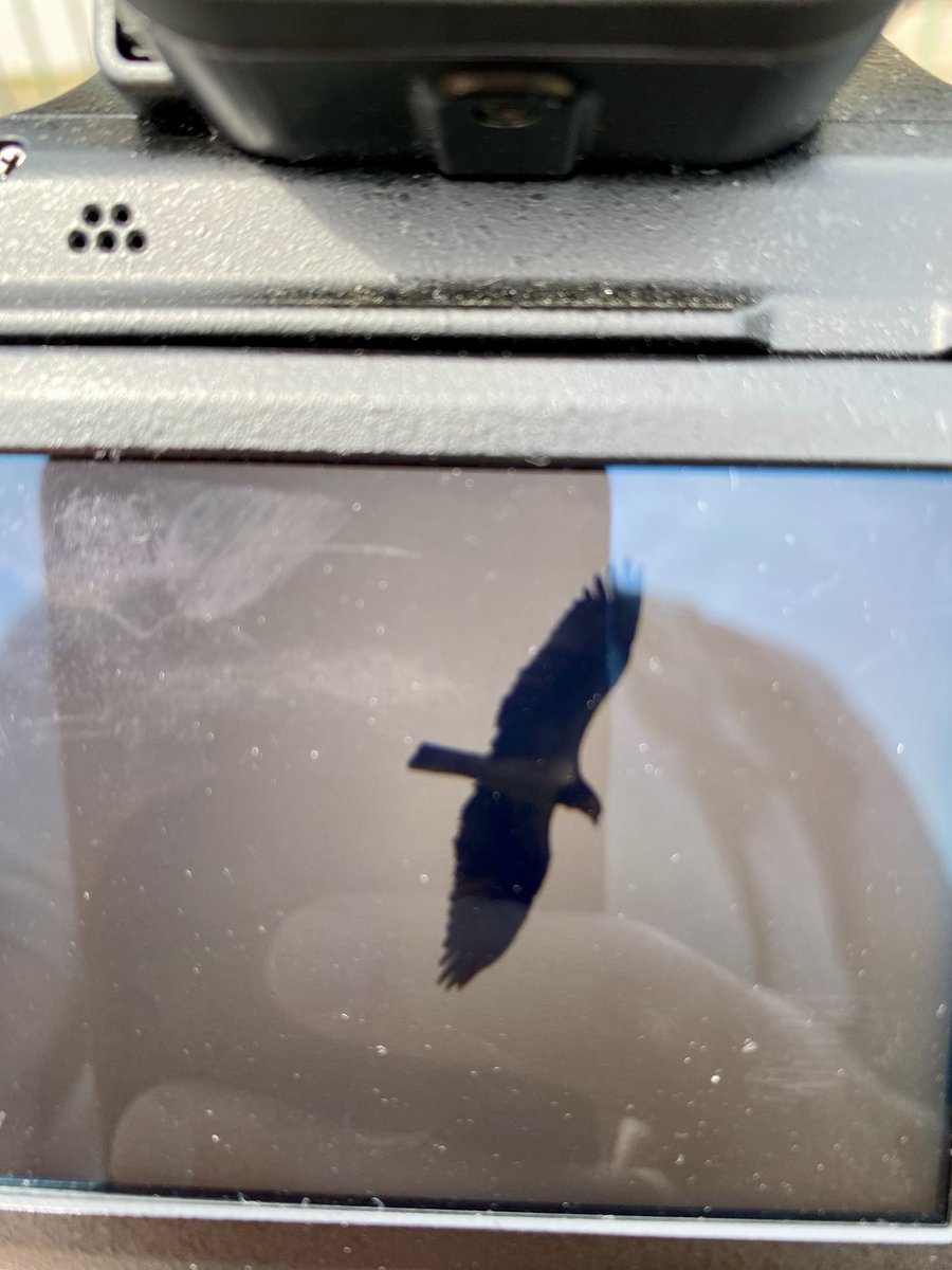 alan (@lobb66) on Twitter photo 