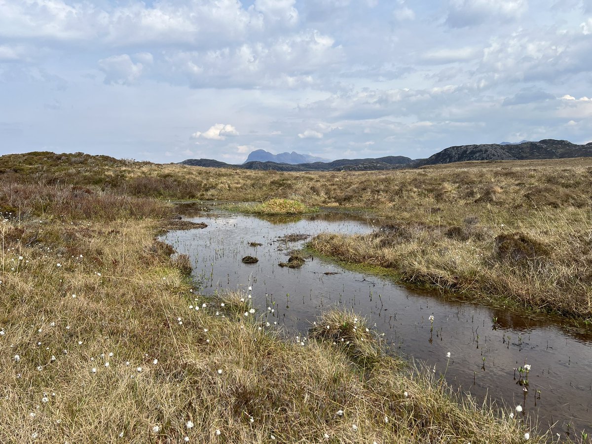 Wandering at Garvie bay…