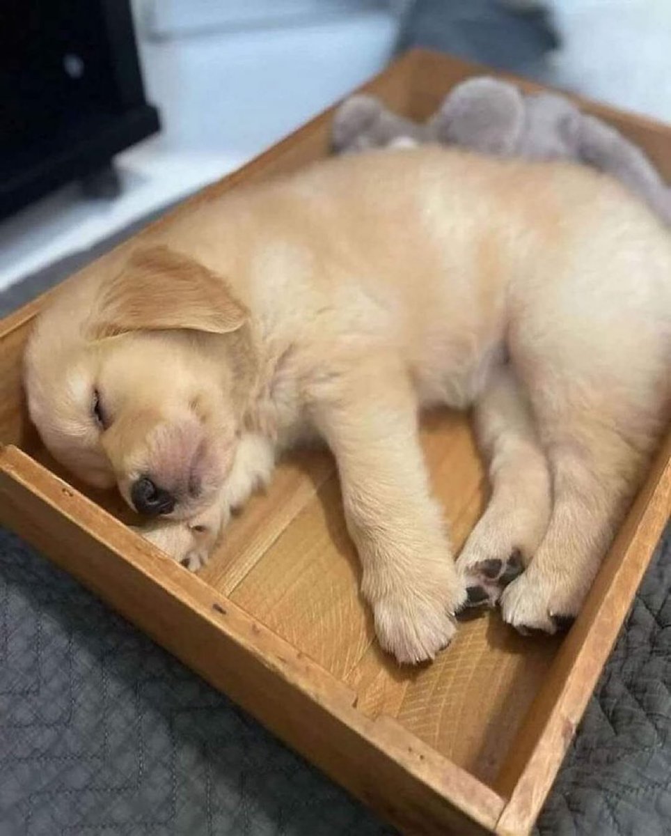 おやすみ前に、おすすめ欄を浄化します