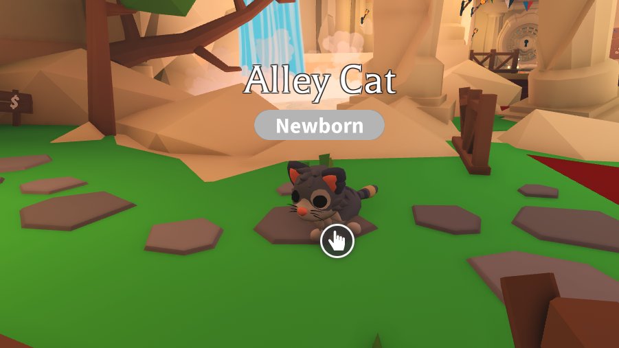 alley cat giveaway!

rules:

follow me

like and retweet

ends tomorrow

kw:roblox rbx gw royale high adopt me mm2 rh rhd dims diamonds set sets halo halos rare item items amp pets pet mfr high mid low tier fly ride values value weapons weapon knife mega neon guns gun

good luck!